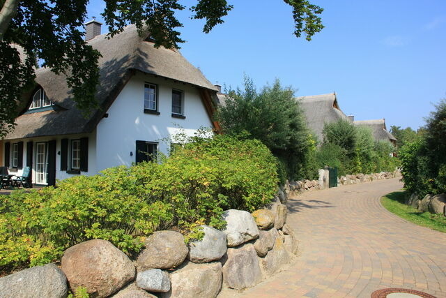 Ferienhaus in Dierhagen - Reetgedecktes Ferienhaus - Bild 3