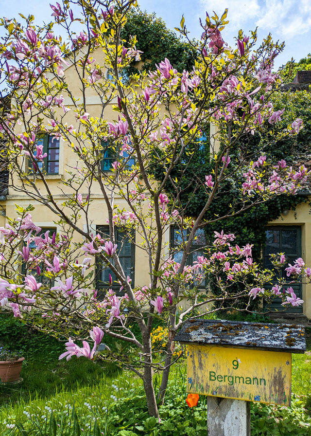 Ferienwohnung in Carinerland - Fewo Kerzenzimmer - M&auml;rchen aus Wachs und Flamme - Bild 2