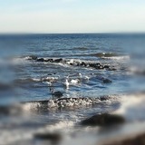 Ferienwohnung in Dahme - Plön Lars - Fewo 2 - Bild 20