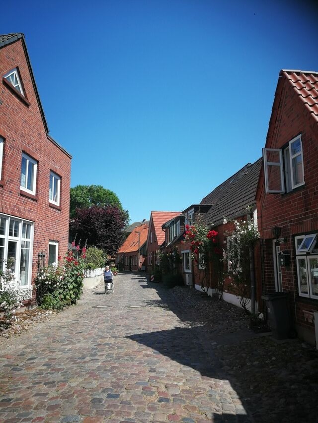 Ferienhaus in Fehmarn OT Burg - "Ruheoase" - Bild 18