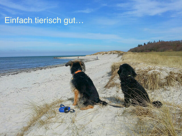 Ferienwohnung in Wendtorf - Whg. Falckenstein - Haus Nordlichter - Bild 8