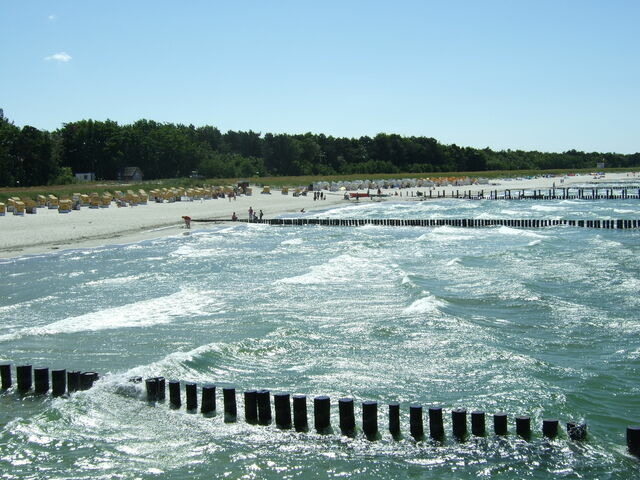 Ferienhaus in Zingst - sonniges und beliebtes Ferienhaus "M&ouml;we" - nur 2 Minuten zum Strand... WLAN inklusive... - Bild 16