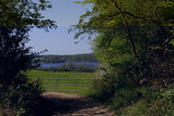 Ferienwohnung in Klein Wittensee - Witt am See - Bild 19