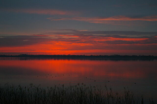 Ferienwohnung in Klein Wittensee - Witt am See - Bild 16