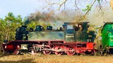 Ferienwohnung in Sellin - Strandgänger Rügen - Bild 23