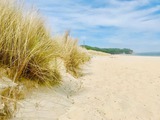 Ferienwohnung in Sellin - Strandgänger Rügen - Bild 18