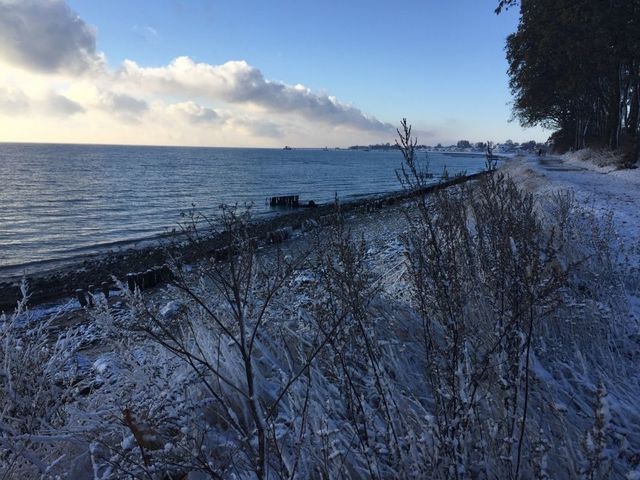 Ferienwohnung in Kellenhusen - Haus Strandl&auml;ufer Wohnung 3 - Bild 15