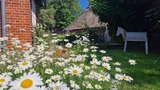 Ferienwohnung in Riepsdorf - Neu! Kreativ-Workshops f&uuml;r unsere G&auml;ste - Bild 9
