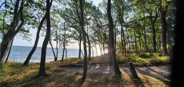 Ferienwohnung in Fehmarn OT Wenkendorf - Käpt'n Hook - Bild 19