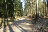 Ferienwohnung in Prerow - FeWo Seeadler - Heuser Prerow - Bild 18