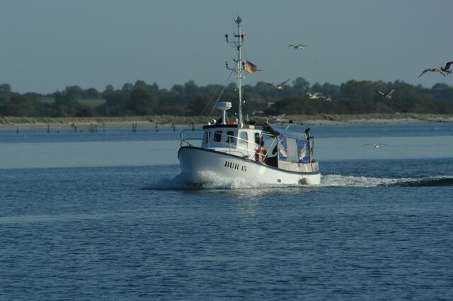 Ferienwohnung in Fehmarn OT Burg - Ferienwohnung "BurgKaj&uuml;te" - Bild 10