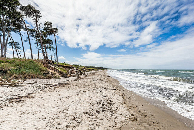 Ferienhaus in Zingst - Seemannsgarn - Bild 20