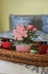 Bungalow in Zinnowitz - Ferienhaus Wiese und Meer - Bild 24