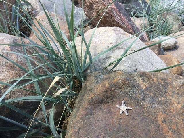 Ferienwohnung in Kellenhusen - "LüttMeerDeern", Im Grünen Winkel 10 - Wohnung im Obergeschoss - Bild 11 Ferienwohnung in Kellenhusen - "LüttMeerDeern", Im Grünen Winkel 10 - Wohnung im Obergeschoss - Bild 11