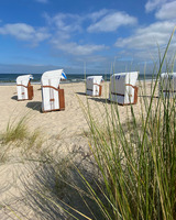 Ferienhaus in &Uuml;ckeritz - Kormoran - Bild 24