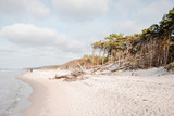 Ferienwohnung in Ahrenshoop - Stranddüne 1 - Bild 9