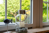 Ferienhaus in Dahme - Vogel Dahmesh&ouml;ved 21 a - Bild 15