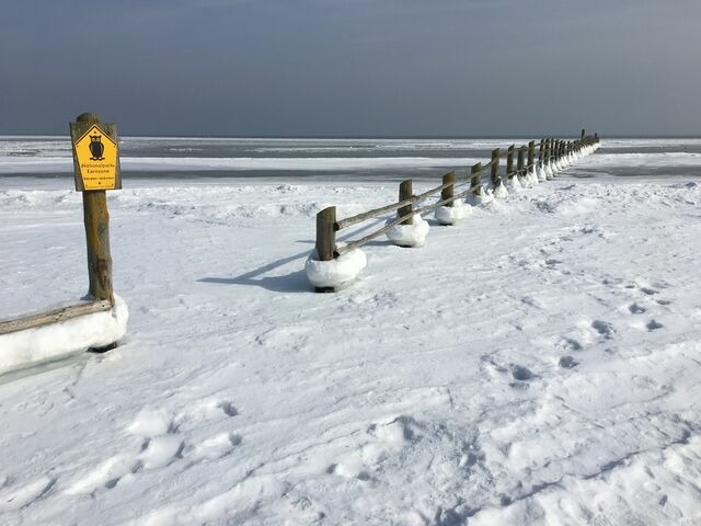 Ferienwohnung in Zingst - Boddenkieker 15 - Bild 24