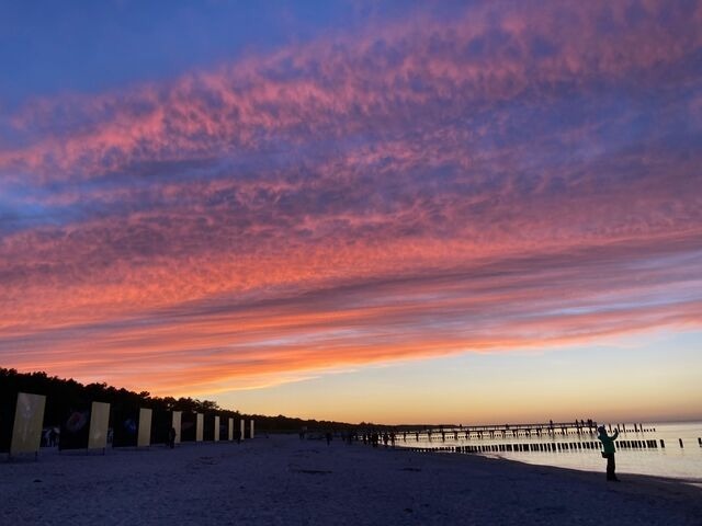 Ferienwohnung in Zingst - Boddenkieker 15 - Bild 18