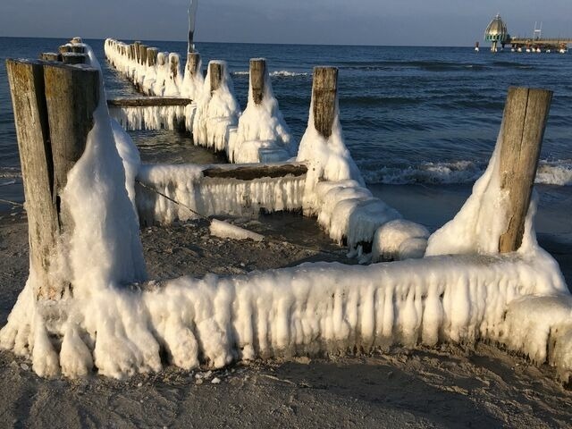 Ferienwohnung in Zingst - Boddenkieker 15 - Bild 22