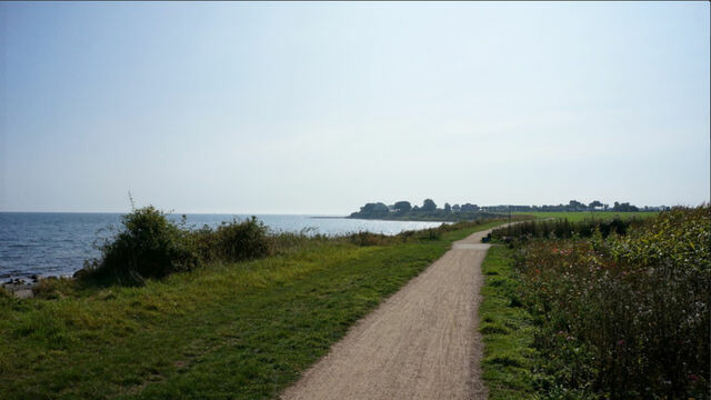 Ferienwohnung in Fehmarn OT Wulfen - Luise von der Wiese - Bild 13