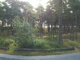 Ferienhaus in Baabe - Meeresbrise - Baabe - Bild 9