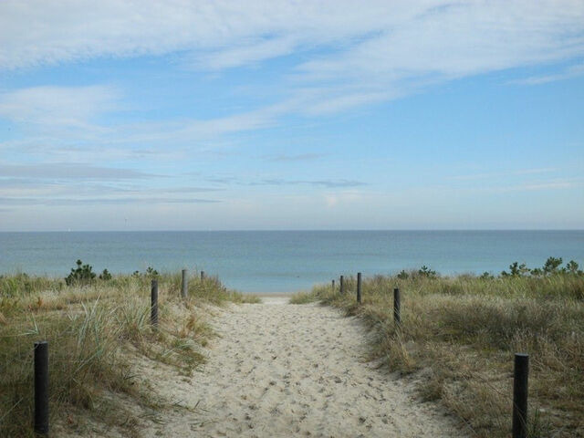 Ferienhaus in Baabe - Hagebutte - Baabe - Bild 16