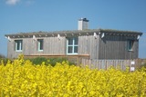 Ferienhaus in Dahme - Strandhus Mira - Bild 17