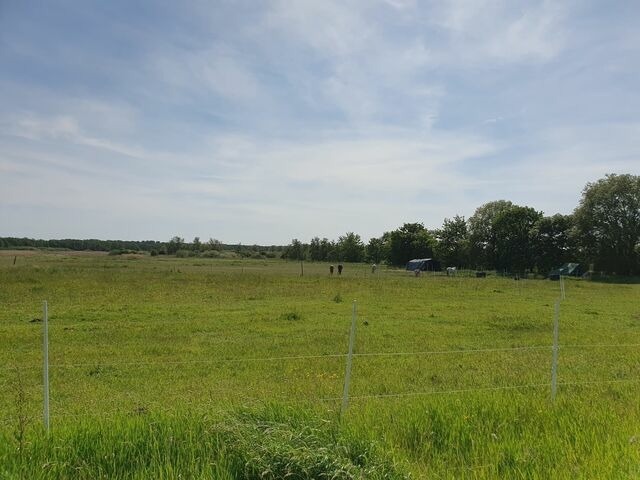 Ferienwohnung in Börgerende-Rethwisch - Doppelhaushälfte Vorderbeek - mit Blick ins Grüne - Bild 17