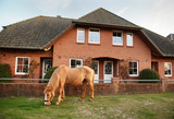 Ferienwohnung in Fehmarn OT Neujellingsdorf - Bauernhof H&ouml;per-Rauert - Reihenhaus 6 - Bild 19