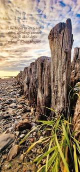 Ferienwohnung in Kiel - Design Appartement Sch&ouml;nfeld - Bild 23