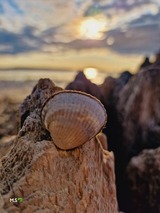 Ferienwohnung in Kiel - Design Appartement Sch&ouml;nfeld - Bild 24