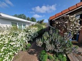 Ferienhaus in Zingst - Kurs Nordost - Bild 17