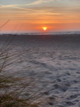 Ferienwohnung in Fehmarn OT Burgtiefe - Seeschwalbe - Bild 15