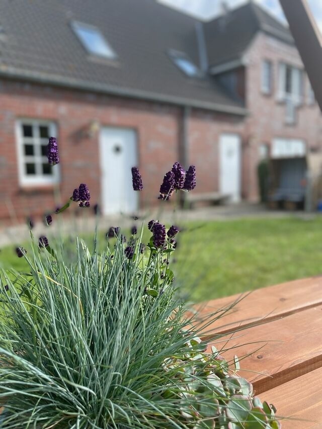 Ferienwohnung in Fehmarn OT Wulfen - Frederik Brückenblick - Bild 22