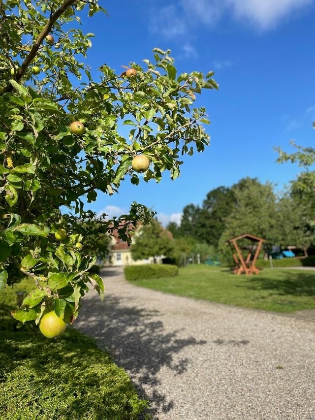 Ferienwohnung in Fehmarn OT Wulfen - Frederik Brückenblick - Bild 23