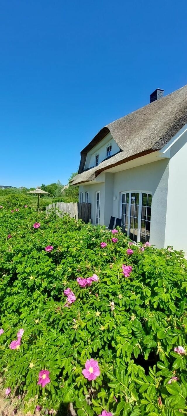 Ferienhaus in Dassow - zwisch. Boltenhagen und Pötenitz Ostseeurlaub bis 6 Pers."Alte Liebe" Haus A - Bild 19