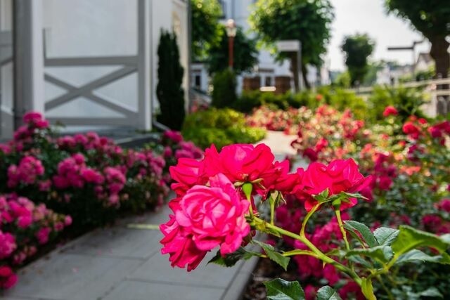 Ferienwohnung in Binz - Villa Iduna / Ferienwohnung No. 5 - 1. OG mit Balkon nach Osten - Bild 19