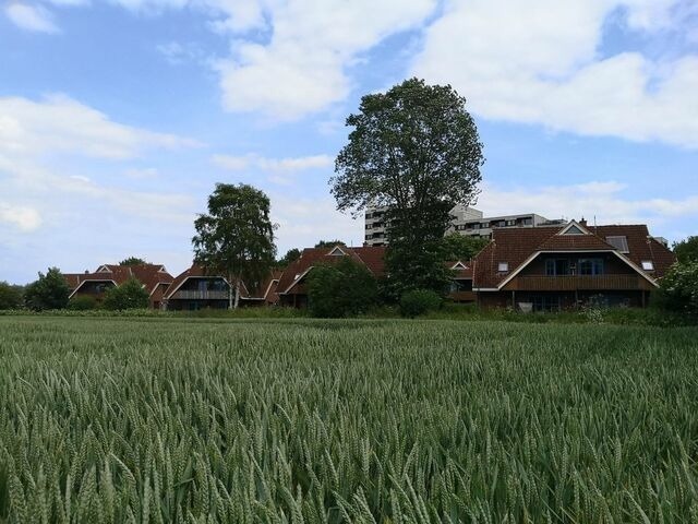 Ferienwohnung in Dahme - Jacobihof Haus 9 Wohnung 01 - Bild 6