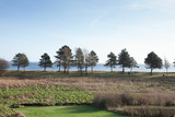 Ferienhaus in Glücksburg - Ferienhaus Außenförde - Bild 15