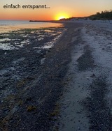 Ferienwohnung in Wendtorf - Austernfischer - Bild 16