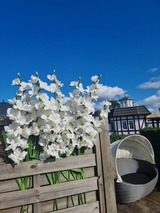 Ferienwohnung in Zingst - Villa Blau Wohnung 03/Studio - Bild 23