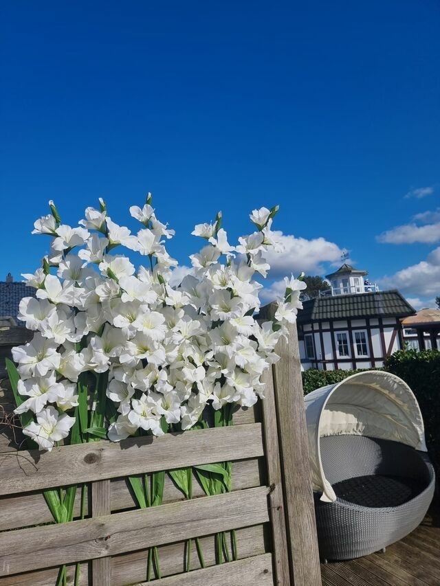 Ferienwohnung in Zingst - Villa Blau Wohnung 03/Studio - Bild 23