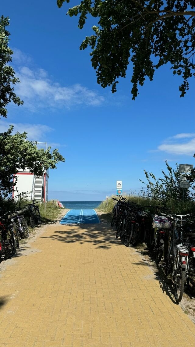 Ferienwohnung in Zingst - Villa Blau Wohnung 03/Studio - Bild 24