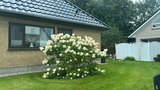 Ferienhaus in Rabenkirchen-Faulück - Ferienhaus Spatz - Bild 17 Ferienhaus in Rabenkirchen-Faulück - Ferienhaus Spatz - Bild 17