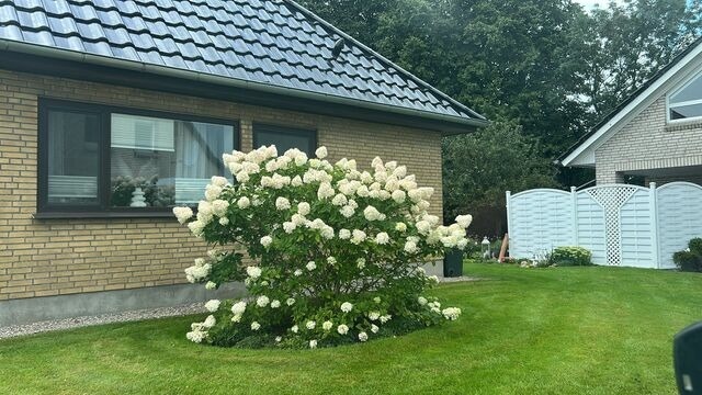 Ferienhaus in Rabenkirchen-Faulück - Ferienhaus Spatz - Bild 17 Ferienhaus in Rabenkirchen-Faulück - Ferienhaus Spatz - Bild 17