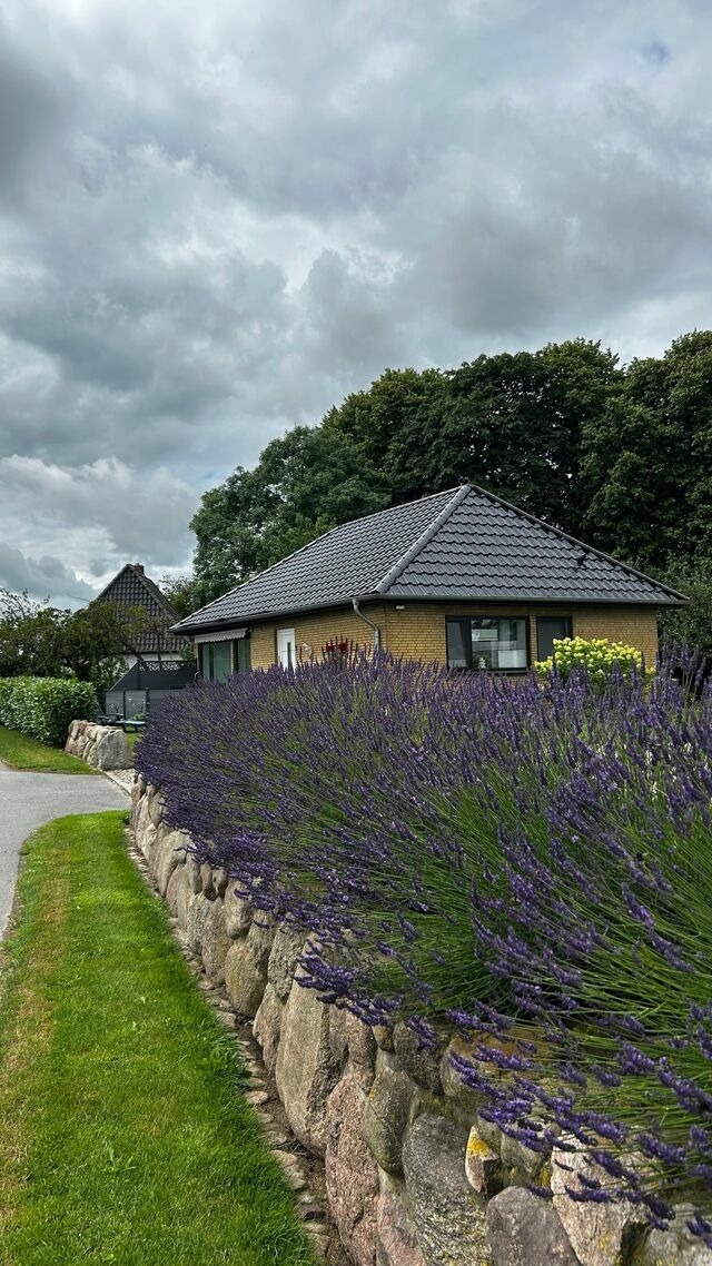 Ferienhaus in Rabenkirchen-Faulück - Ferienhaus Spatz - Bild 19 Ferienhaus in Rabenkirchen-Faulück - Ferienhaus Spatz - Bild 19