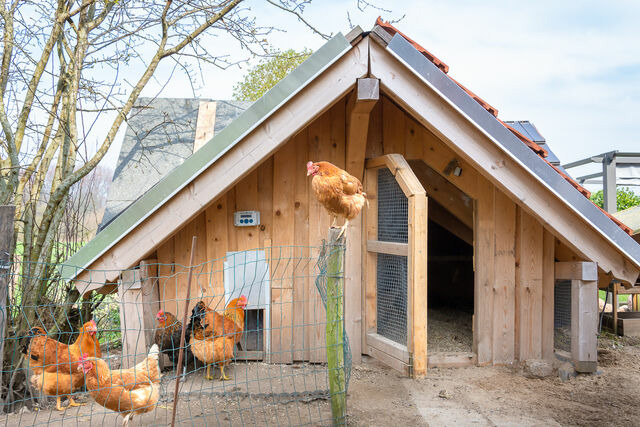 Ferienwohnung in Waabs - Ostseegarten Langholz - Ferienwohnung Adlerhorst (bis 6 Pers) - Bild 24