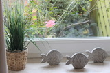 Ferienwohnung in Hasselberg - BARFUSSpark - Ferienwohnung Backbord - Bild 10