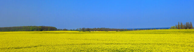 Ferienwohnung in S&uuml;ssau - "Neubau-DHH" - Bild 17